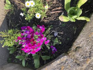 F4289EEC-4E5C-40B2-A9C4-806CEA234C9B