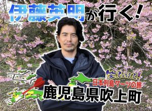 37BAC98E-73BF-4F35-B958-020263F8E5C9