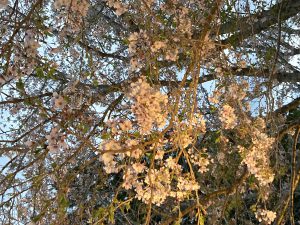 05834A67-374B-4960-8779-0A6C1C817C48