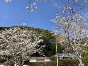 C8238DA1-87BC-4A6C-BDEC-9673F4D40BD8