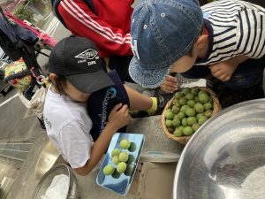 3CC544DC-BB71-4F30-9F98-20B0798E3656