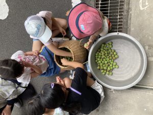 EAB506B3-08FA-48A1-B917-5BDA4E3820B6