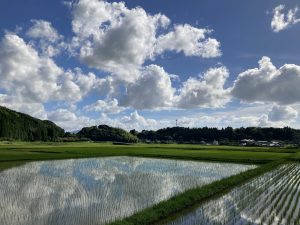 55C9828A-1088-4CE3-A910-B441BA2D2E54