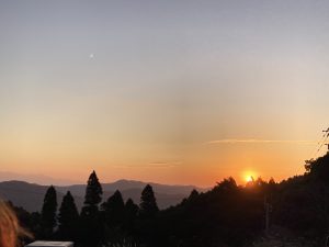 E939FB29-82B5-486C-9C8B-34C65D3746AB