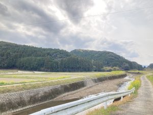 A64F785F-63AE-4776-B781-F1C14E2957A4