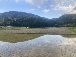 5DAD4B8B-8197-410D-BFFF-60983A3357A4