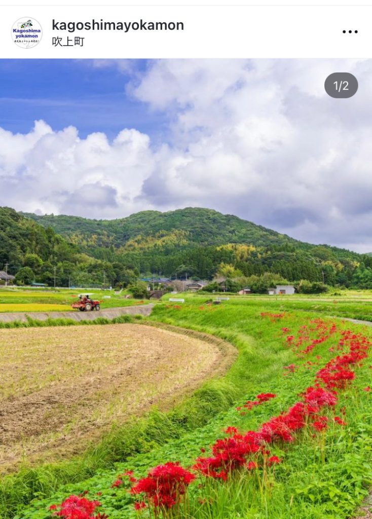 鹿児島よかもん