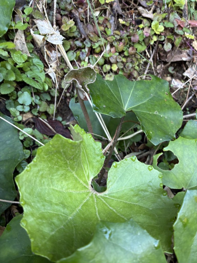 山の幸〜海の幸〜